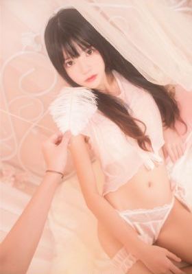 淑女的欲望